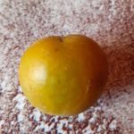 Слива "РЕНКЛОД ЖЕЛТЫЙ" — изображение 3