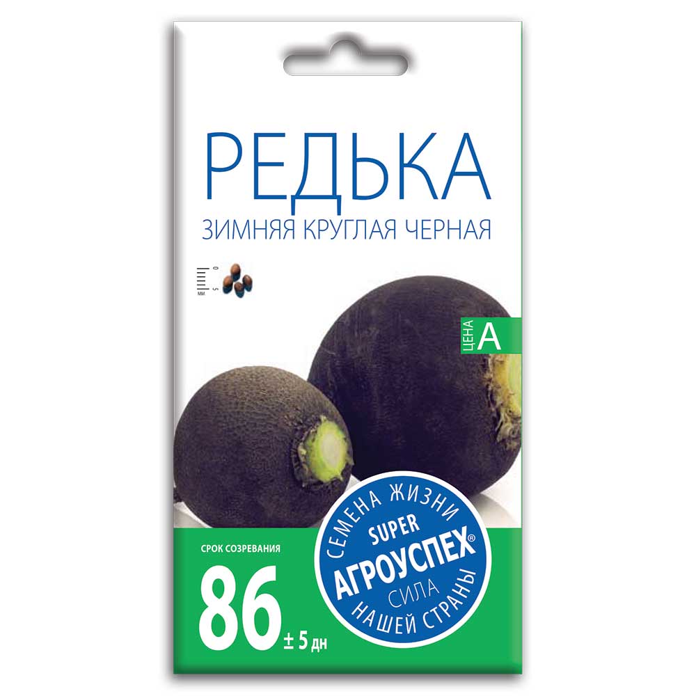 редька зимняя1 Семена Редьки " Зимняя Круглая Черная" — изображение 1