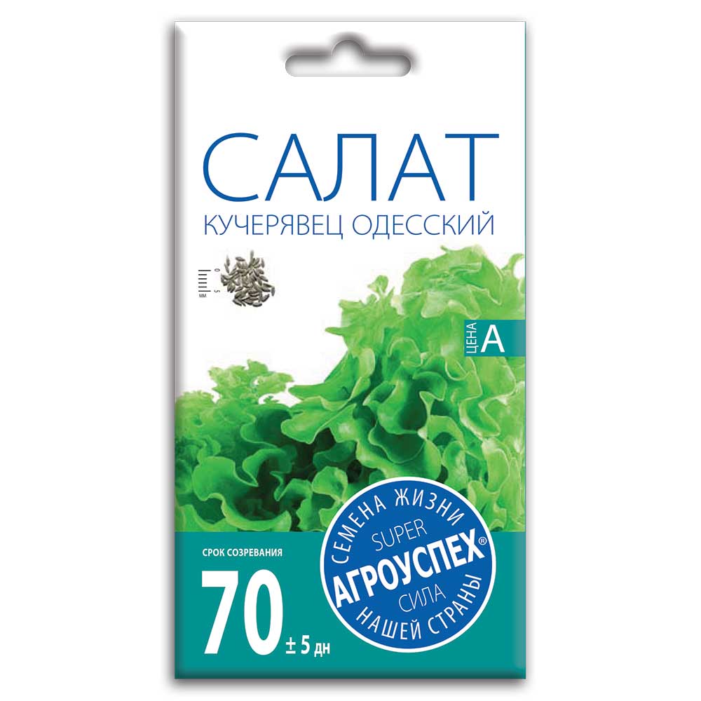 салат1 Семена Салата " Кучерявец Одесский" — изображение 1