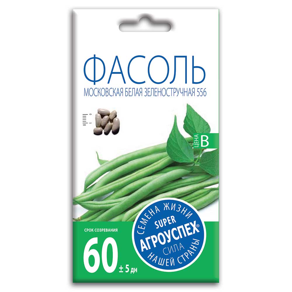фасоль1 Семена Фасоли " Московская Белая Зеленостручная 556" — изображение 1
