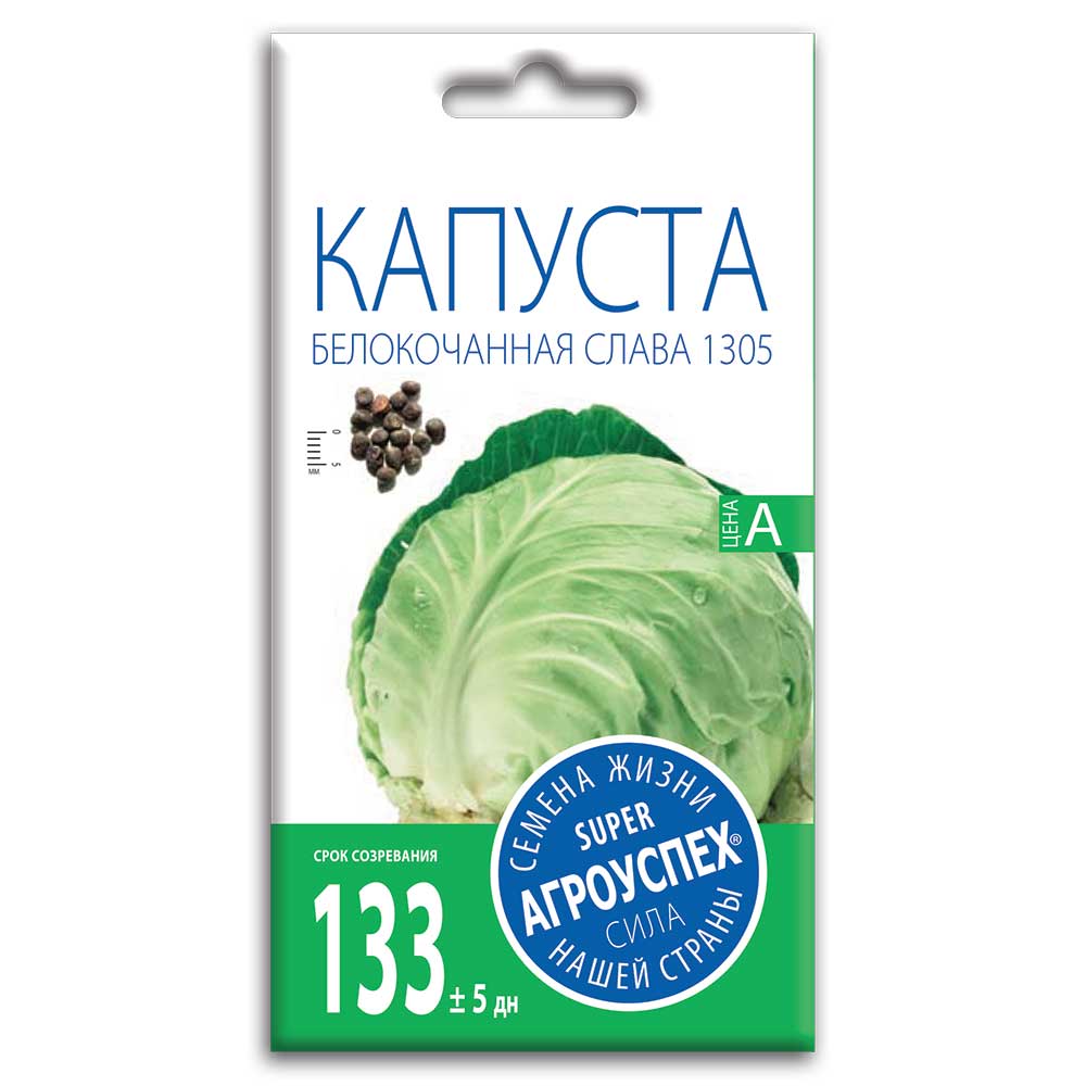 капуста слава1 Семена Капусты Белокочанная "Слава 1305" — изображение 1
