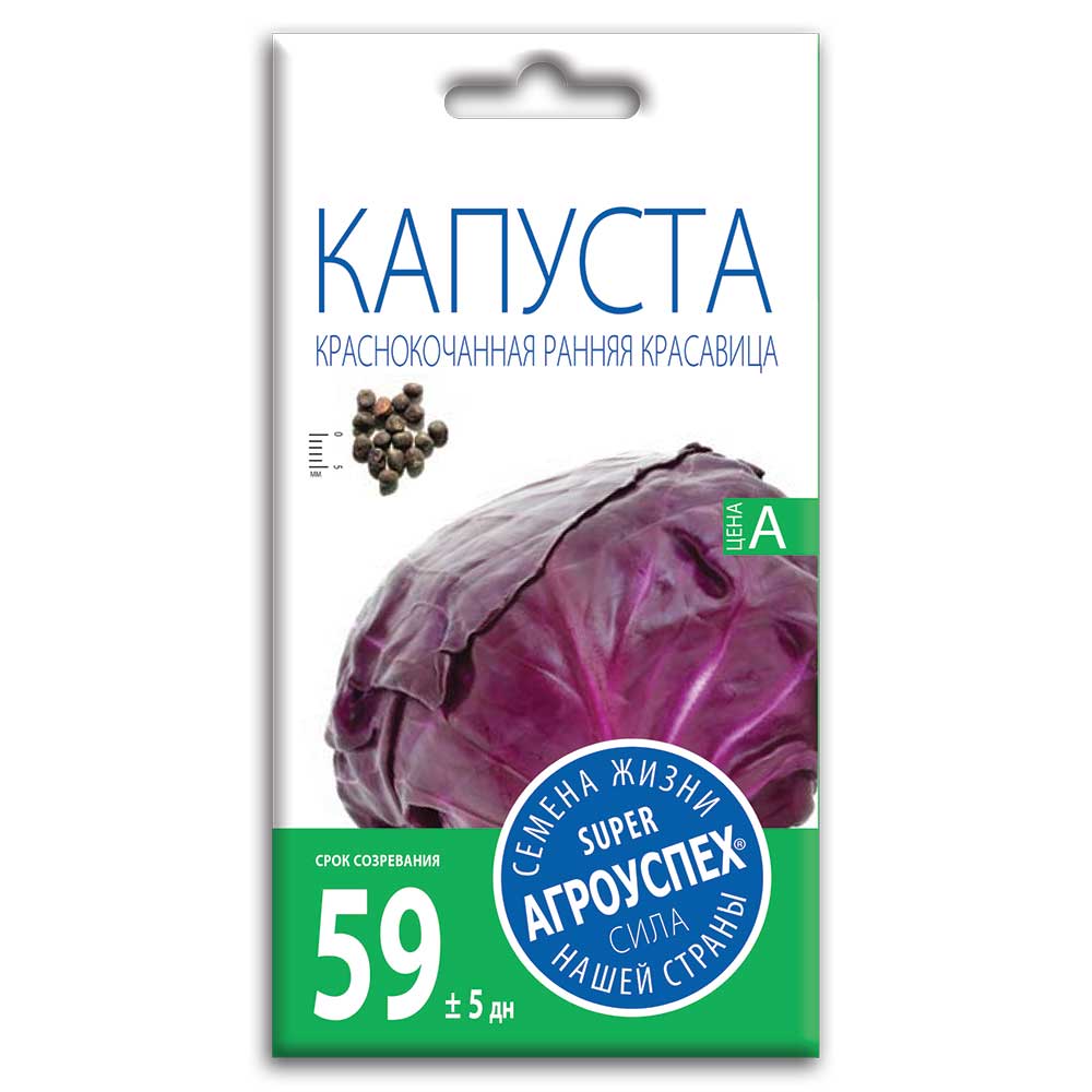 kapusta_krasnokochannaya_1 Семена Капусты "Краснокочанная Ранняя Красавица" — изображение 1