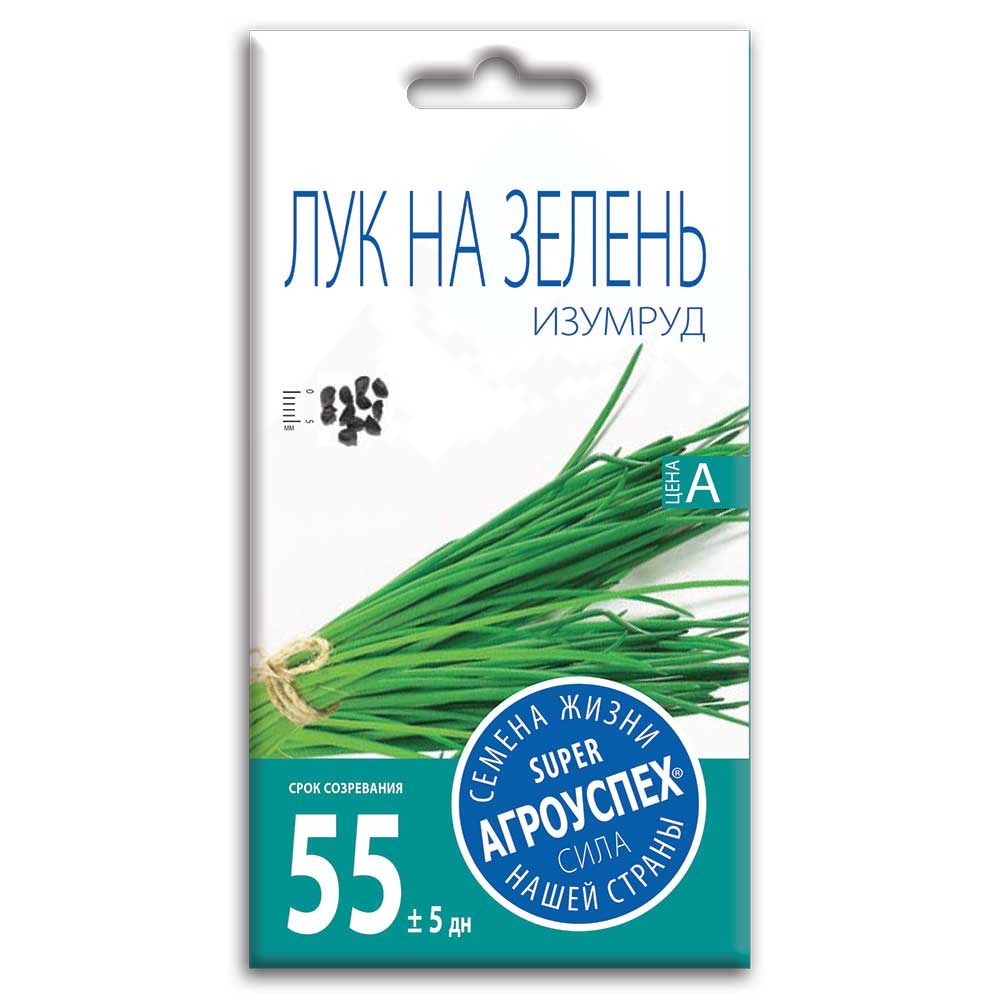 luk_na_zelen_izumrud_1 Семена Лука на зелень "Изумруд" — изображение 1