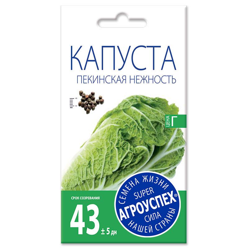 пекинская нежность1 Семена Капусты Пекинской "Нежность" F1 — изображение 1